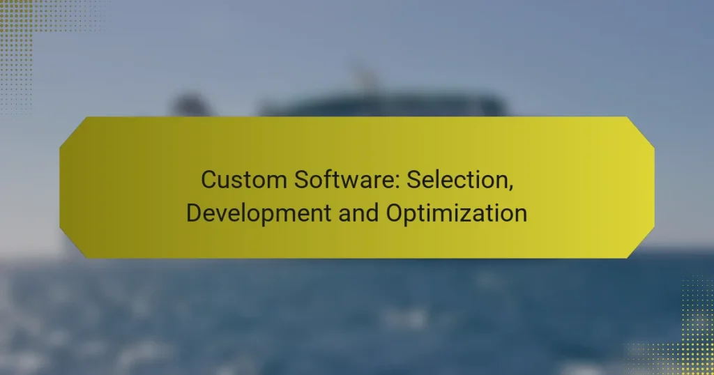 Custom Software: Selection, Development and Optimization