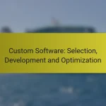 Custom Software: Selection, Development and Optimization