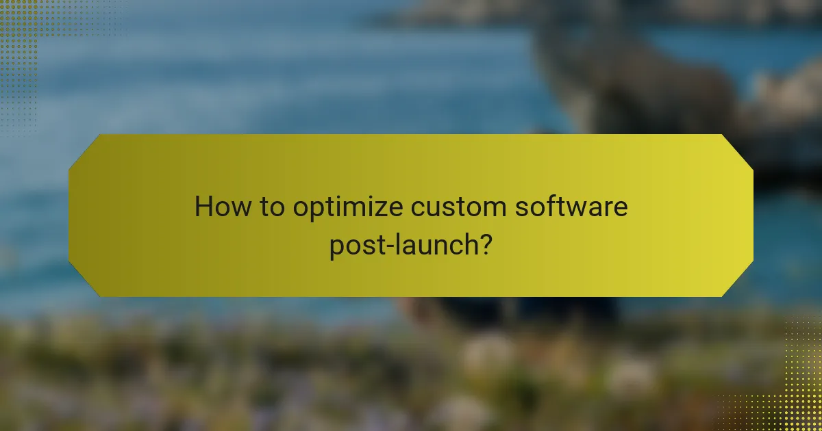 How to optimize custom software post-launch?