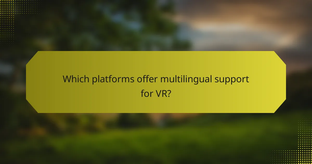 Which platforms offer multilingual support for VR?
