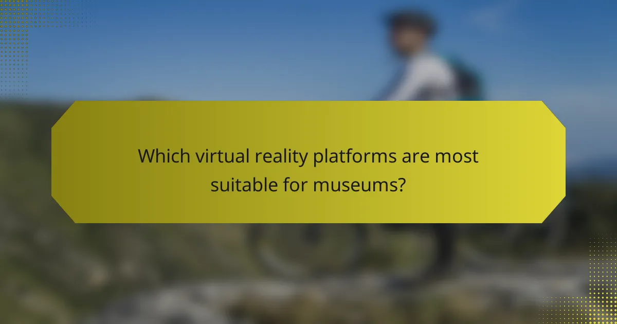 Which virtual reality platforms are most suitable for museums?